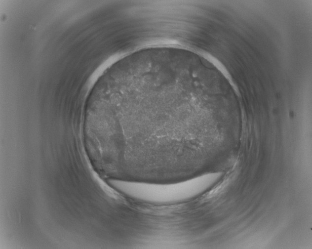 X0000061731245200512231426