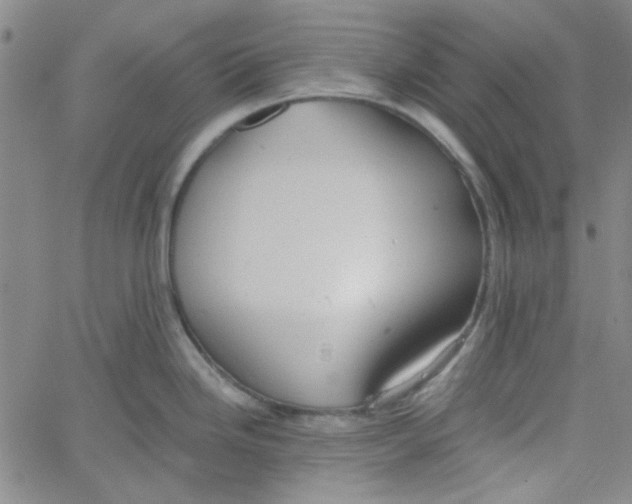 X0000061731246200512231426