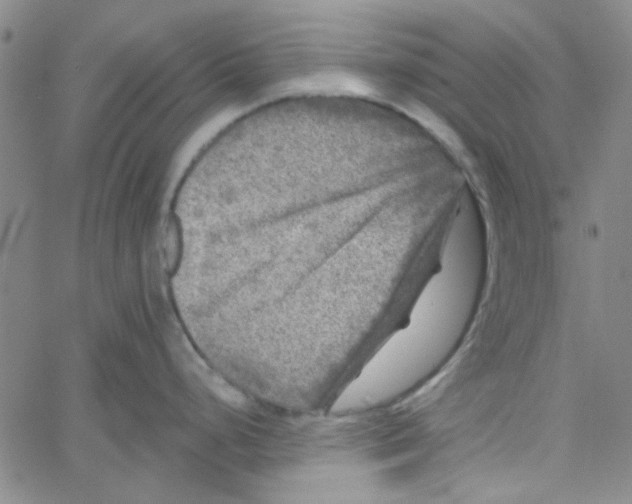 X0000061731248200512231427