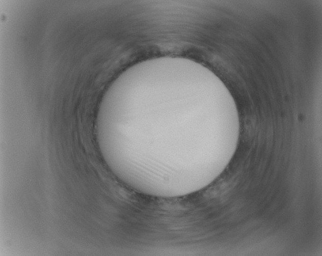 X0000061731249200512231426