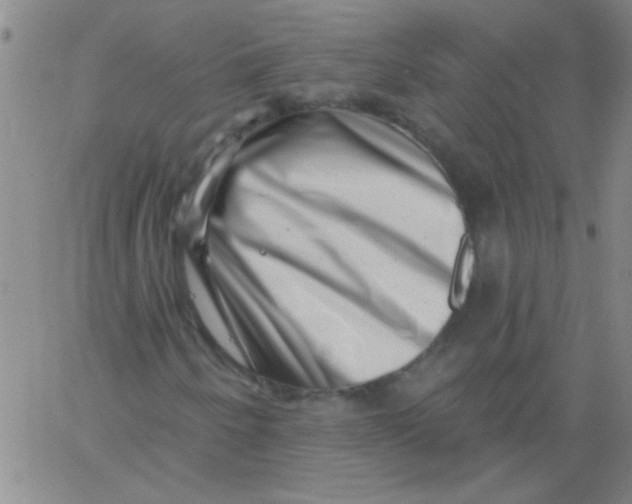 X0000061731250200512231426