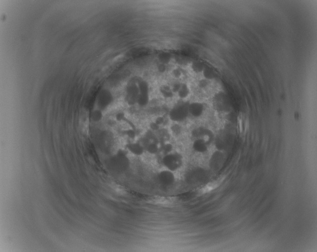 X0000061731251200512231426