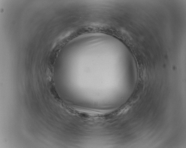 X0000061731253200512231426