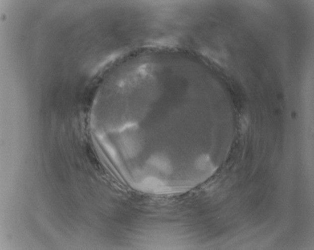 X0000061731254200512231426