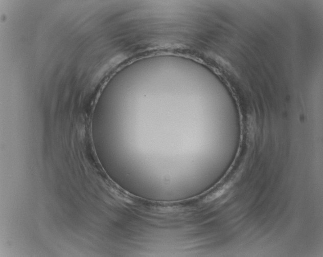 X0000061731257200512231426