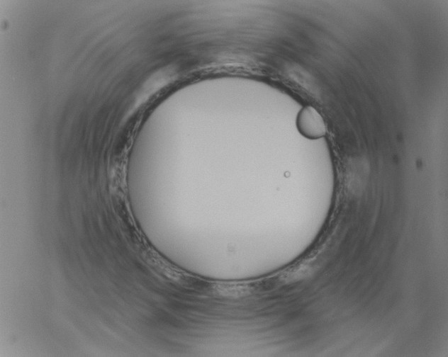 X0000061731258200512231426