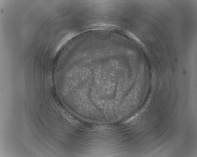 X0000061731259200512231426