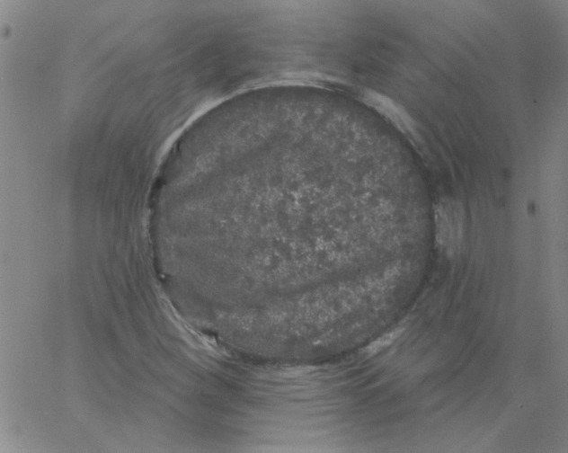 X0000061731260200512231426