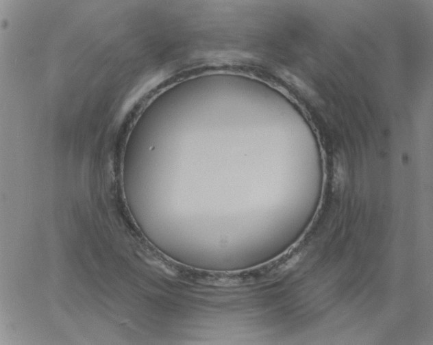 X0000061731261200512231426