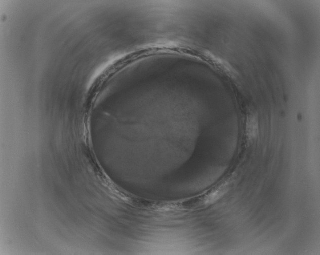 X0000061731262200512231426