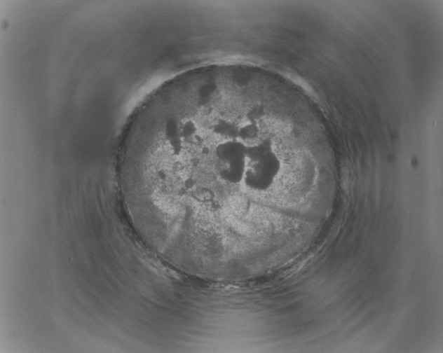 X0000061731263200512231425