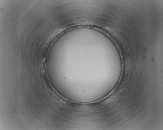 X0000061731265200512231425