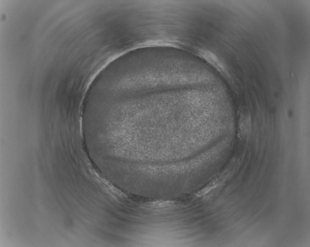 X0000061731268200512231425