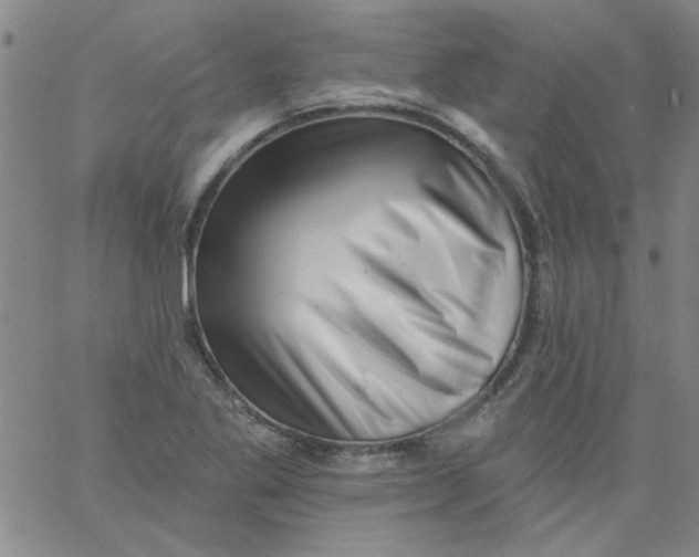 X0000061731269200512231425