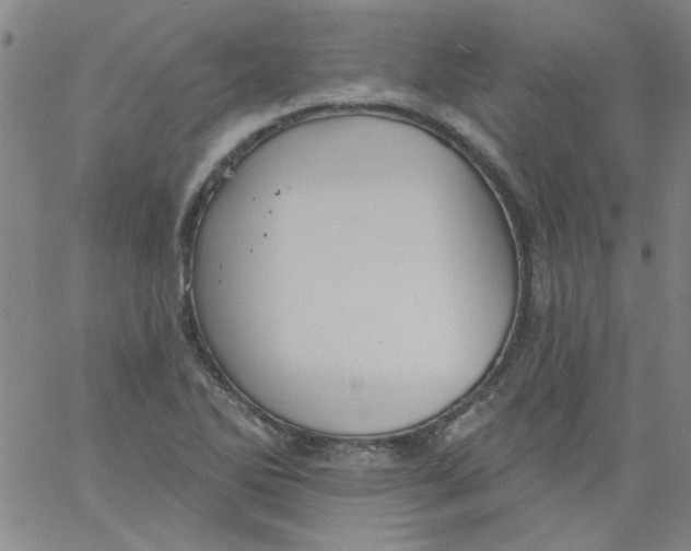 X0000061731270200512231425