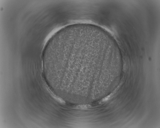 X0000061731271200512231425