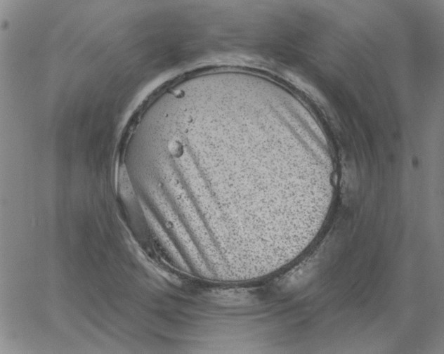 X0000061731272200512231425