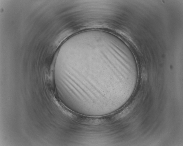 X0000061731273200512231425