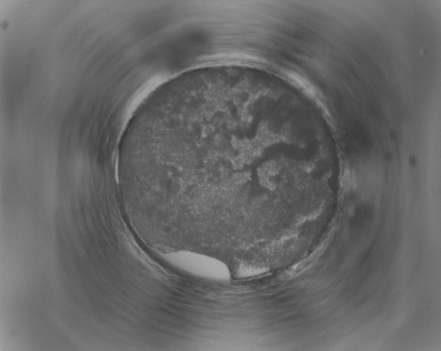 X0000061731275200512231425