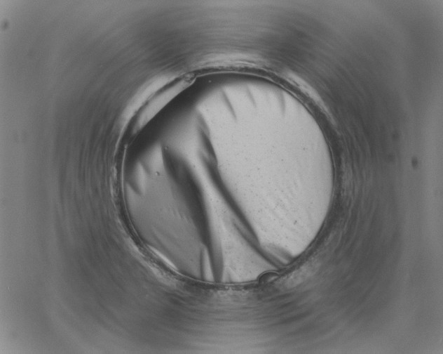 X0000061731277200512231425