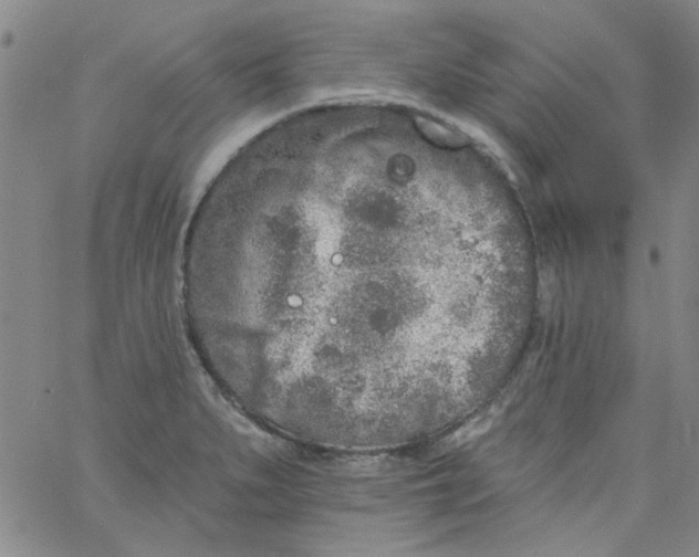 X0000061731279200512231425