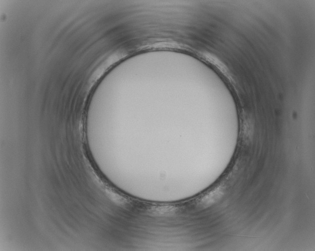 X0000061731282200512231425