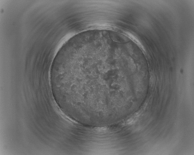 X0000061731283200512231425