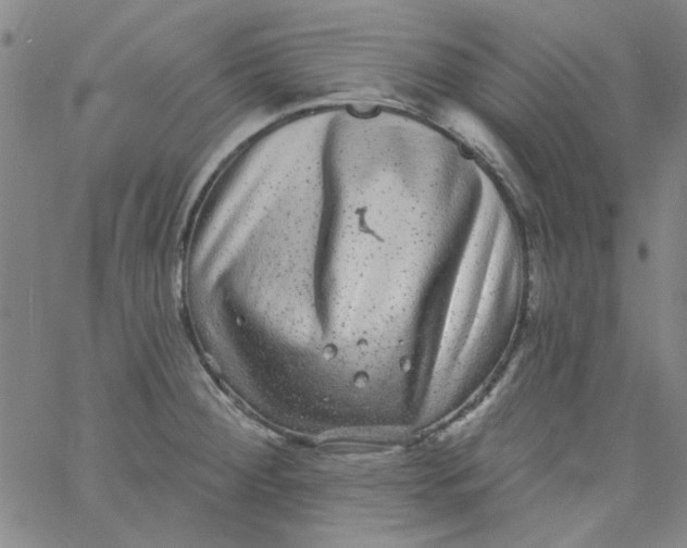 X0000061731284200512231425