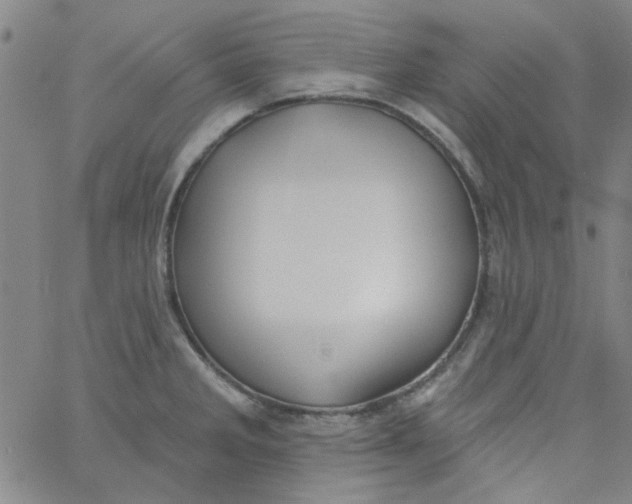 X0000061731285200512231425