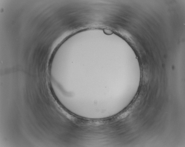 X0000061731286200512231425