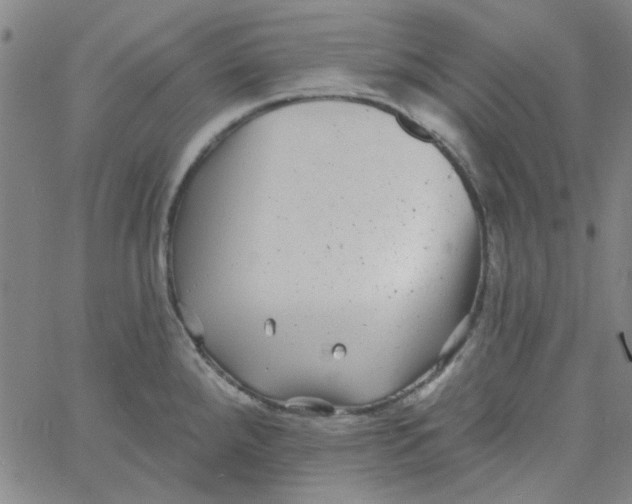 X0000061731288200512231425