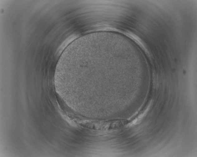 X0000061731289200512231425