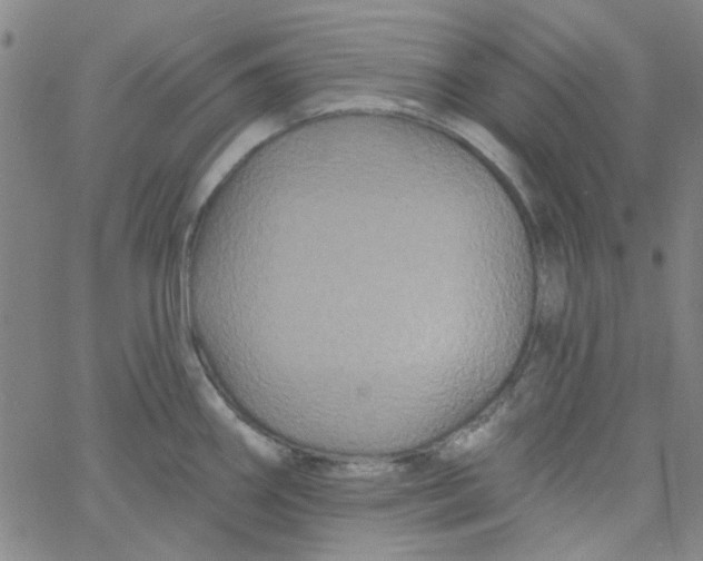 X0000061731290200512231425