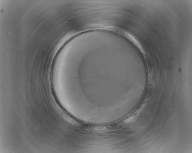 X0000061731291200512231425