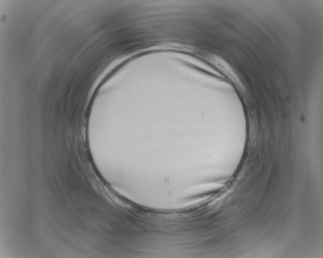 X0000061731292200512231425