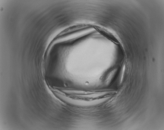 X0000061731295200512231425