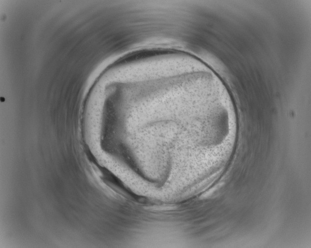 X0000061731296200512231425