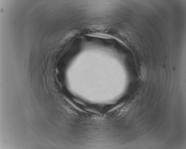 X0000061731297200512231424