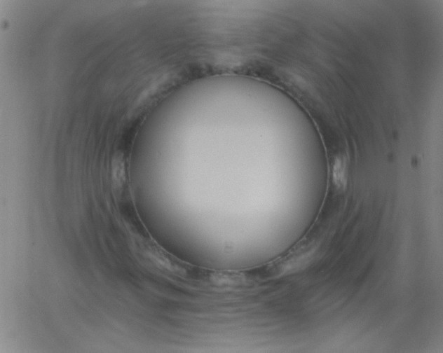 X0000061731299200512231424