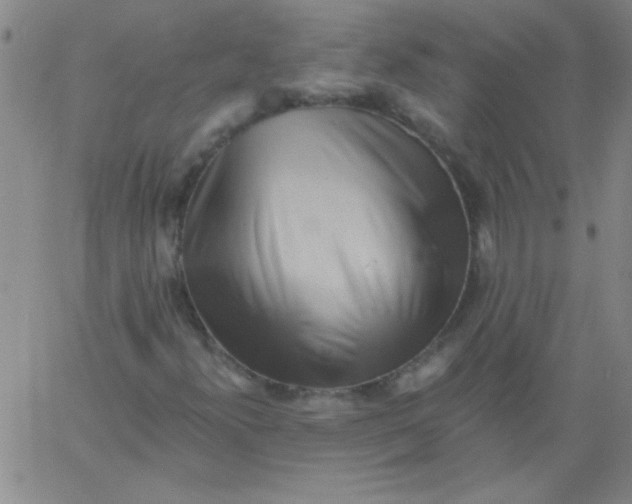 X0000061731300200512231424