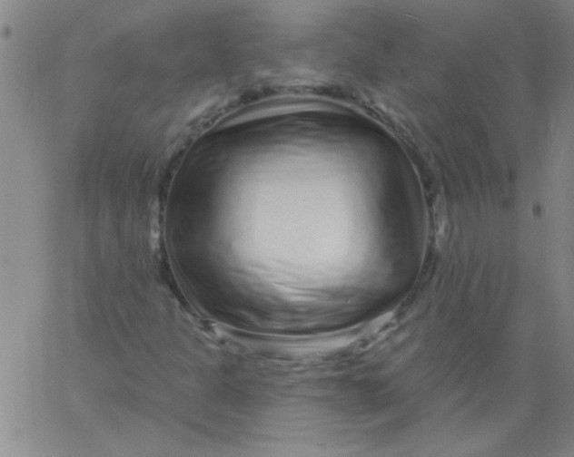 X0000061731301200512231424