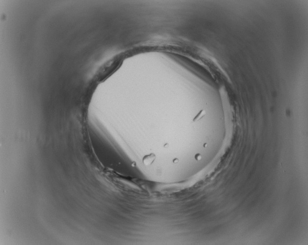 X0000061731304200512231424