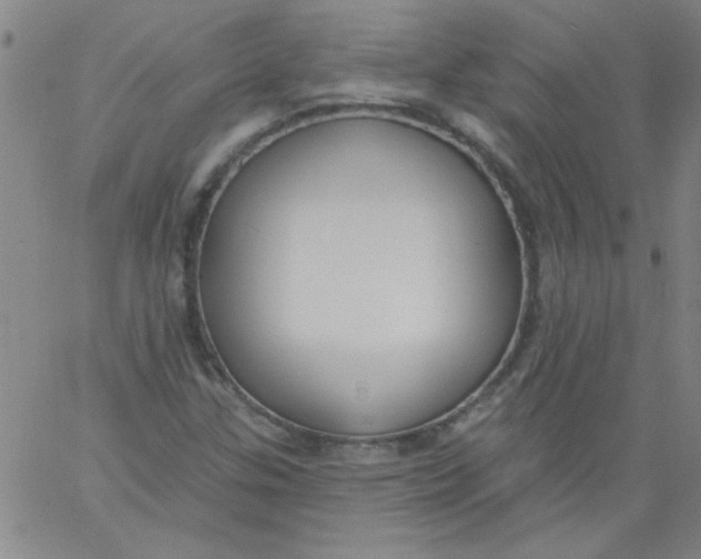 X0000061731307200512231424