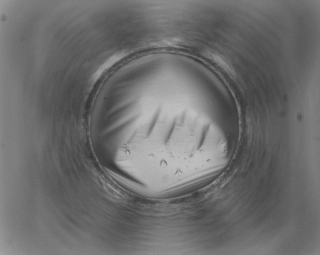 X0000061731308200512231424