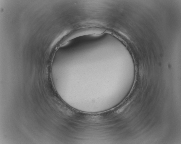 X0000061731309200512231424