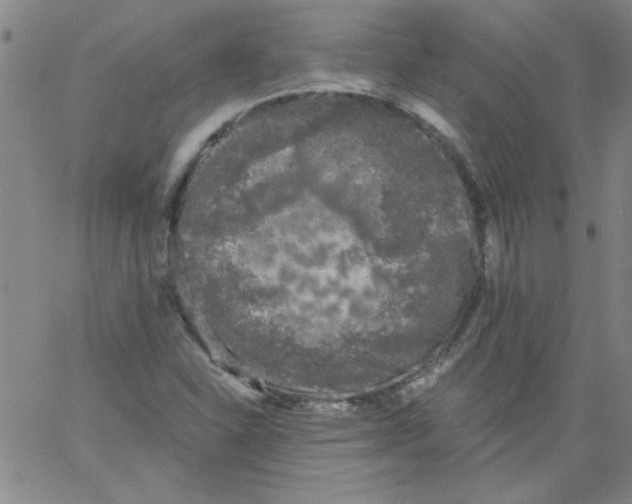 X0000061731310200512231424