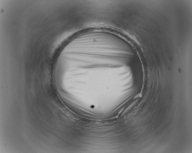 X0000061731311200512231424