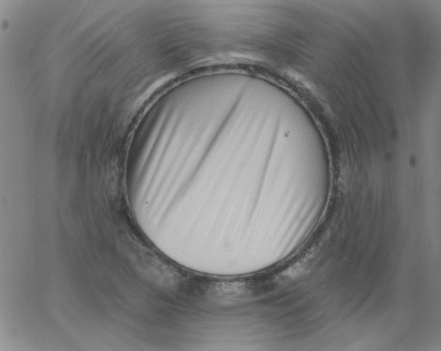 X0000061731313200512231424