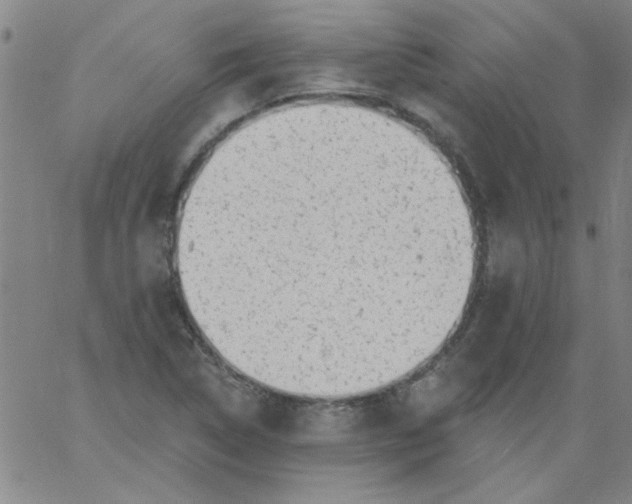 X0000061731314200512231424