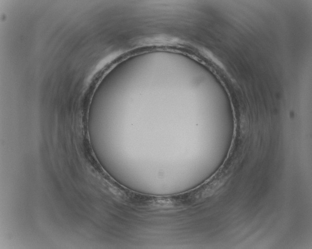 X0000061731315200512231424